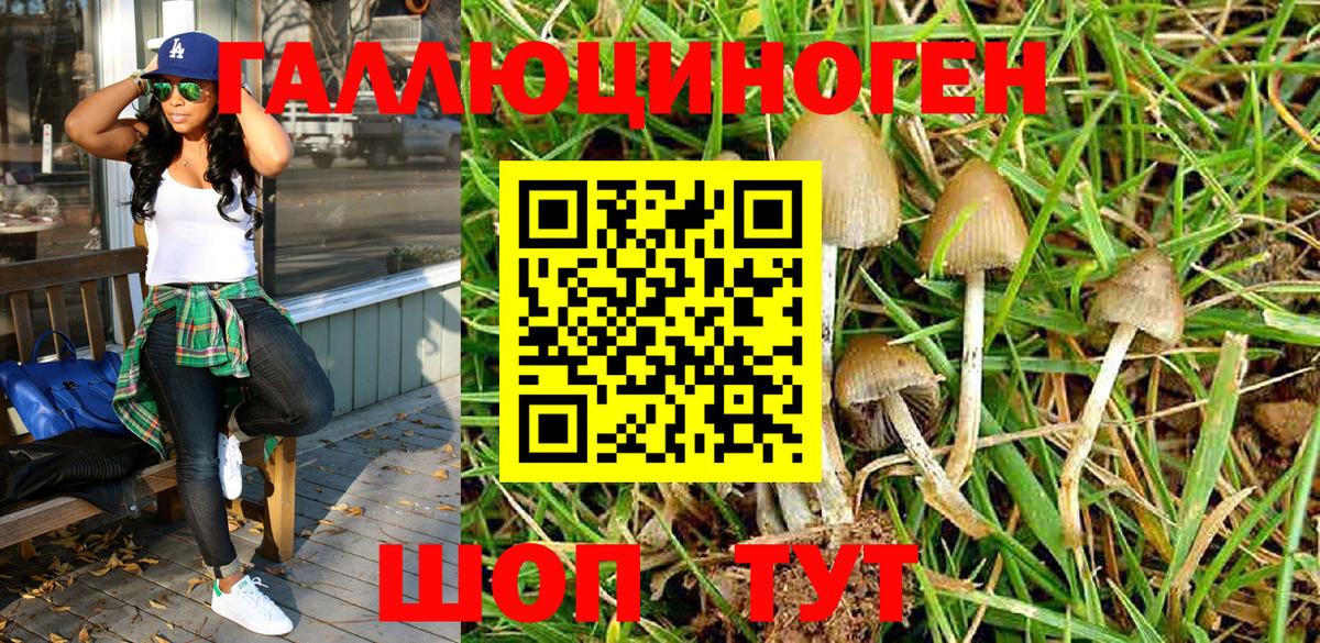 Галлюциногенные грибы Psilocybine cubensis Заволжье