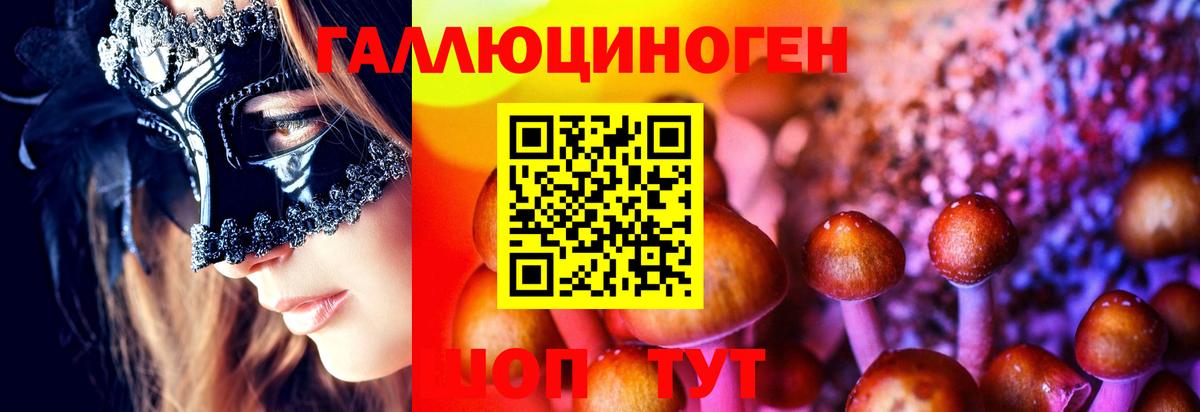 Галлюциногенные грибы MAGIC MUSHROOMS  Галлюциногенные грибы Psilocybine cubensis  Заволжье  Вход с VPN 